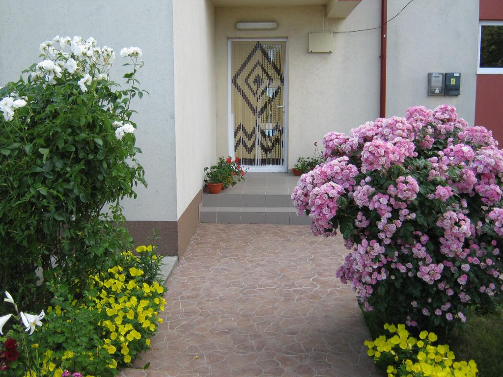 Vila Alexa Costinesti Extérieur photo